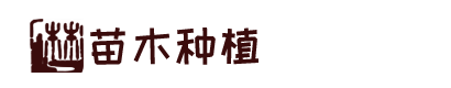 4066一全球赢家信心之选