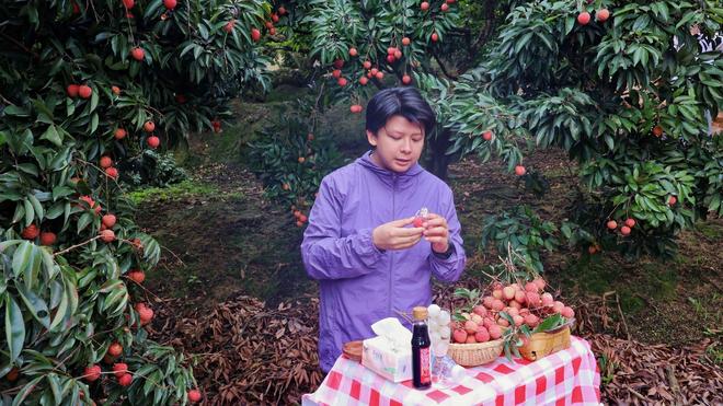 甜满中国·尝鲜季 荔枝乡里品桂香