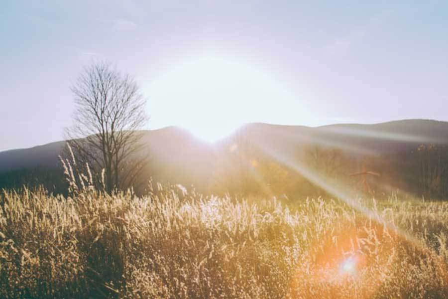 科技企业推出新路由器信号强